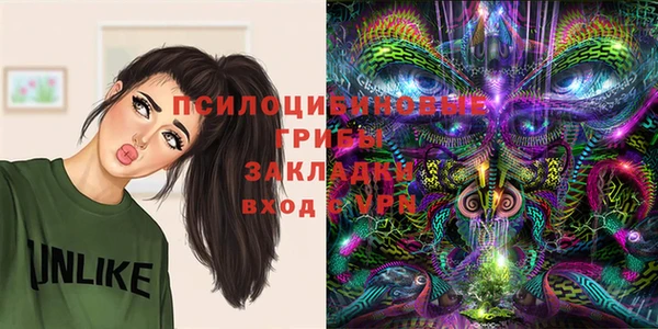 гашик Богородск