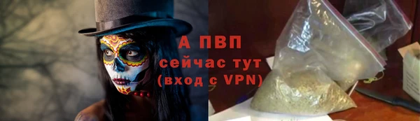 гашик Богородск