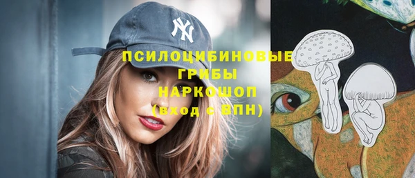 гашик Богородск