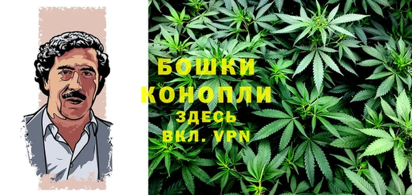 гидропоника Бородино