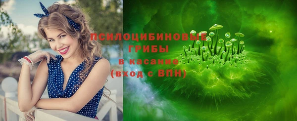 гашик Богородск