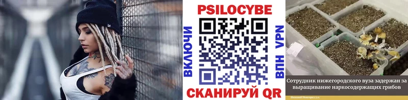 Галлюциногенные грибы ЛСД  Пересвет 