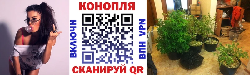 Каннабис LSD WEED  Пересвет 